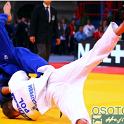 WCPARIS2011 90044